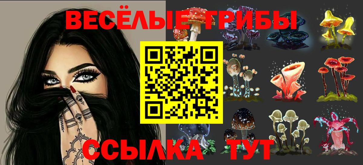 Чебаркуль  Псилоцибиновые грибы прущие грибы  Галлюциногенные грибы мухоморы  Вход с VPN 